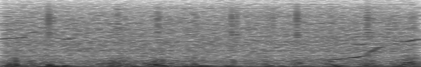 [Loading Spectrogram]