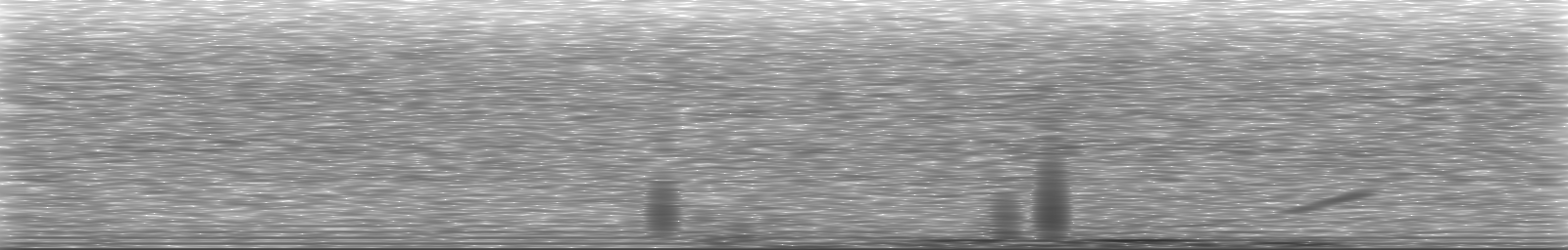 [Loading Spectrogram]