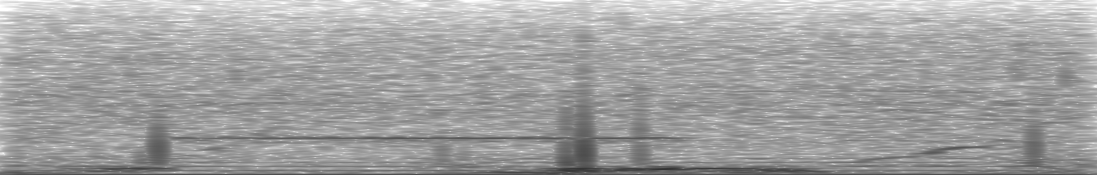 [Loading Spectrogram]