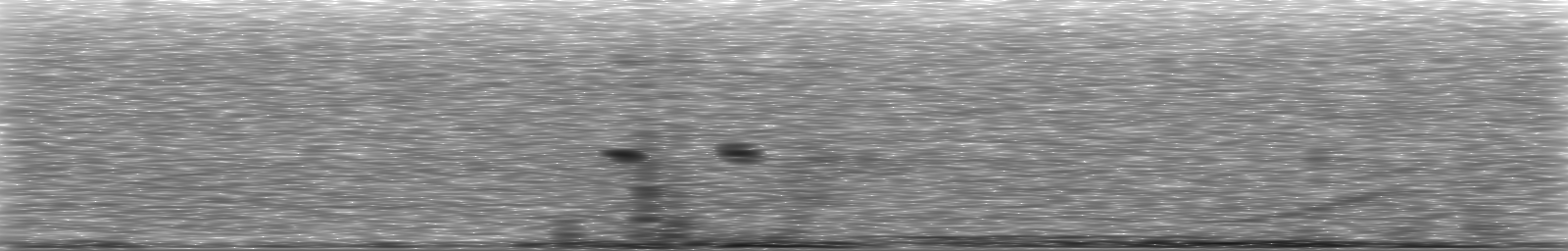 [Loading Spectrogram]