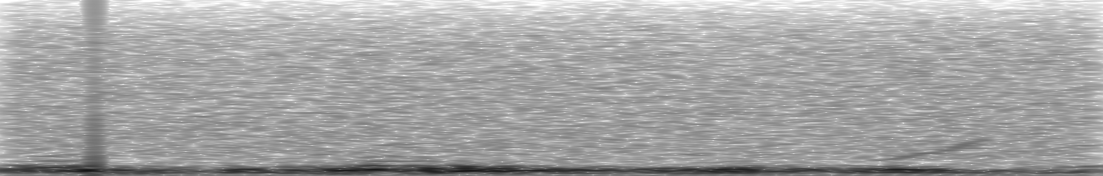[Loading Spectrogram]