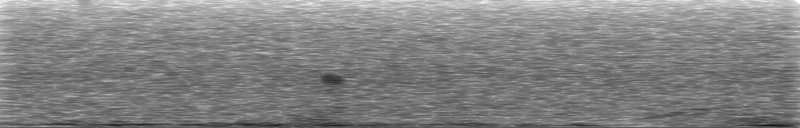 [Loading Spectrogram]