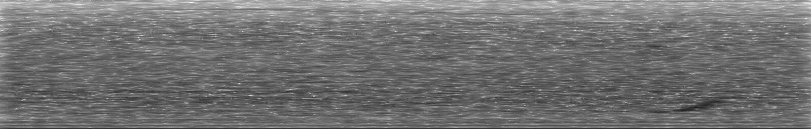 [Loading Spectrogram]