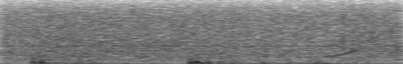 [Loading Spectrogram]