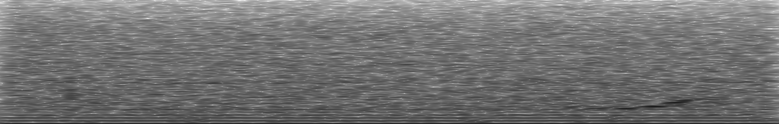 [Loading Spectrogram]