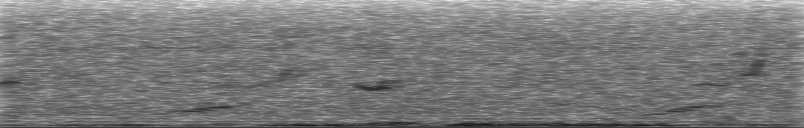 [Loading Spectrogram]