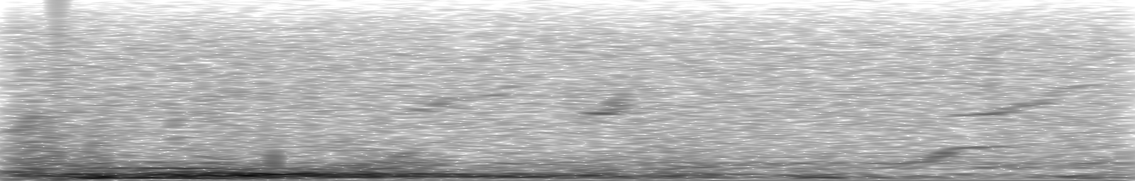 [Loading Spectrogram]