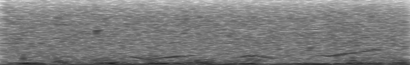[Loading Spectrogram]