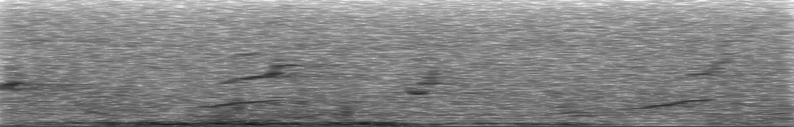 [Loading Spectrogram]