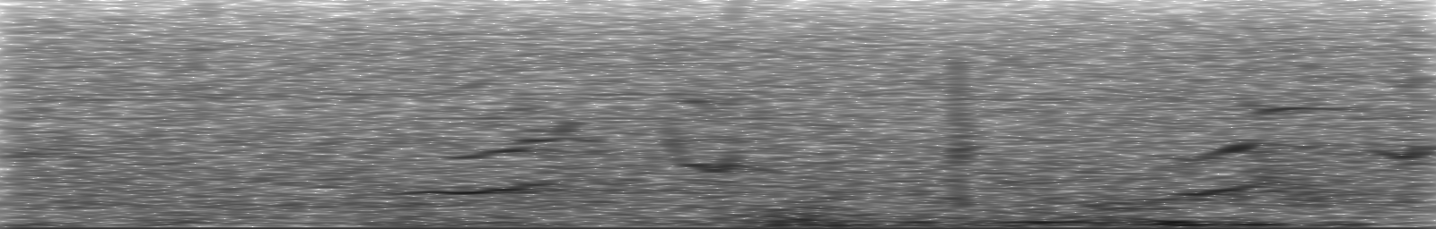 [Loading Spectrogram]