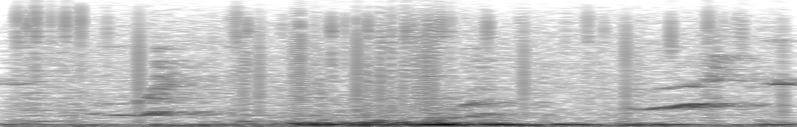 [Loading Spectrogram]
